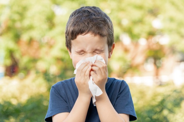 Climate Affect Allergies